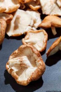 Medicinal Mushrooms: Powerful Immune Enhancers Image